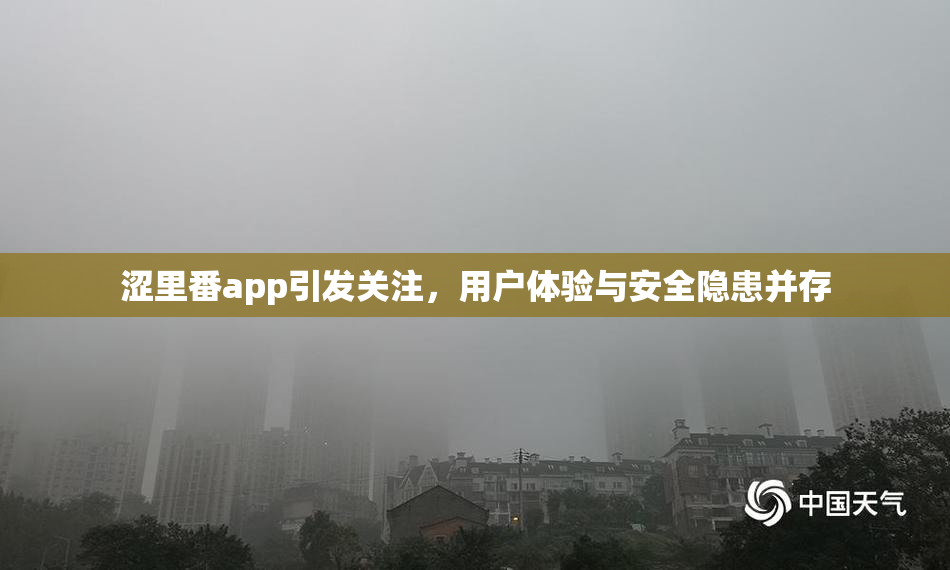 涩里番app引发关注，用户体验与安全隐患并存