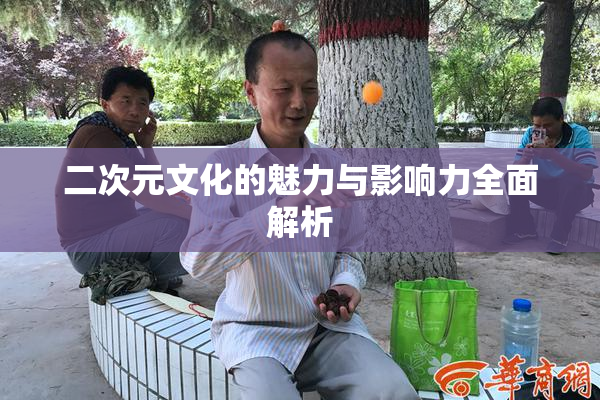 二次元文化的魅力与影响力全面解析