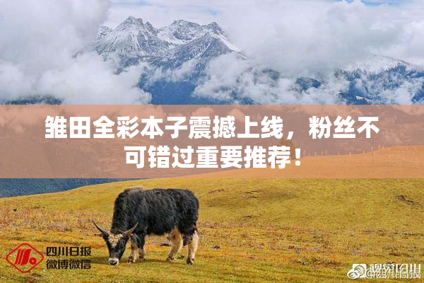 雏田全彩本子震撼上线，粉丝不可错过重要推荐！