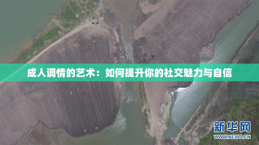 成人调情的艺术：如何提升你的社交魅力与自信