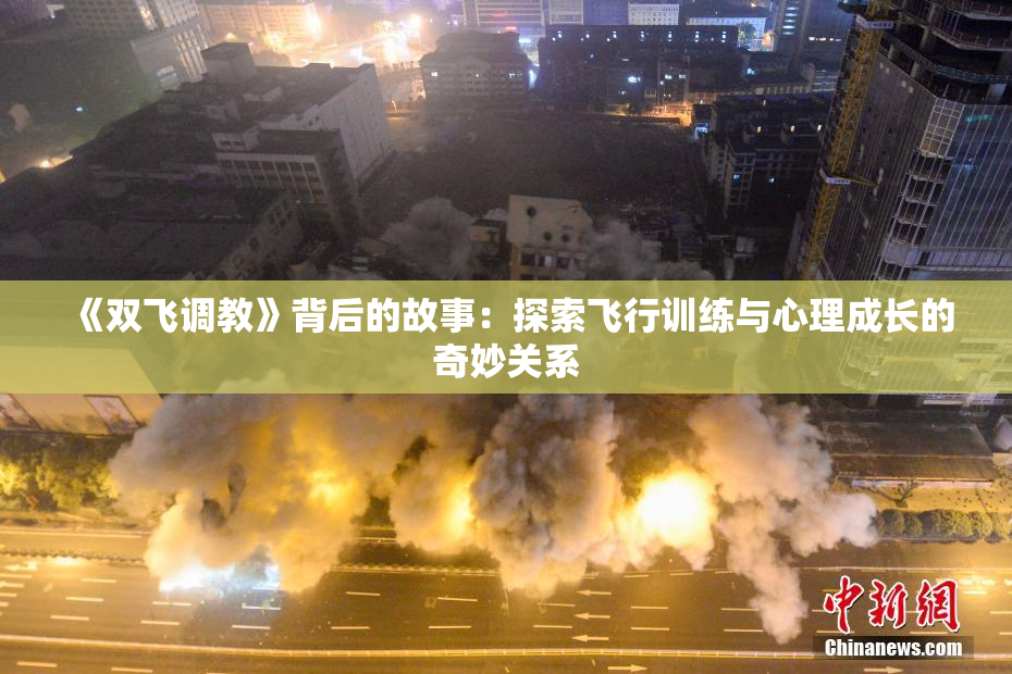 《双飞调教》背后的故事：探索飞行训练与心理成长的奇妙关系