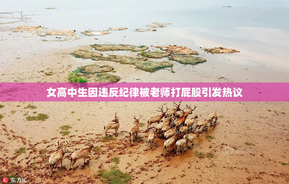 女高中生因违反纪律被老师打屁股引发热议