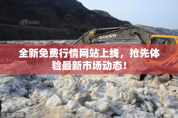 全新免费行情网站上线，抢先体验最新市场动态！