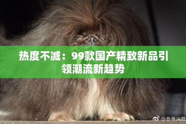 热度不减：99款国产精致新品引领潮流新趋势