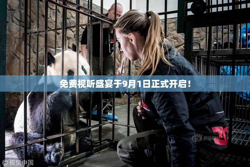 免费视听盛宴于9月1日正式开启！