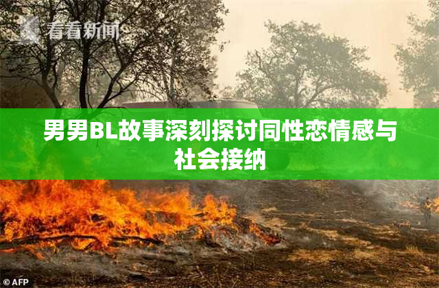 男男BL故事深刻探讨同性恋情感与社会接纳