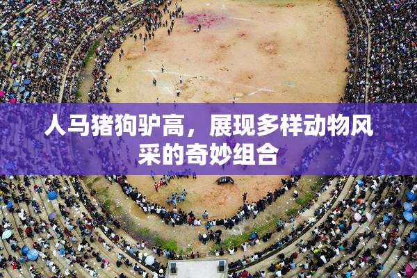 人马猪狗驴高，展现多样动物风采的奇妙组合