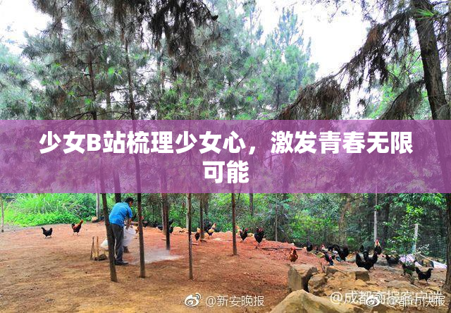 少女B站梳理少女心，激发青春无限可能