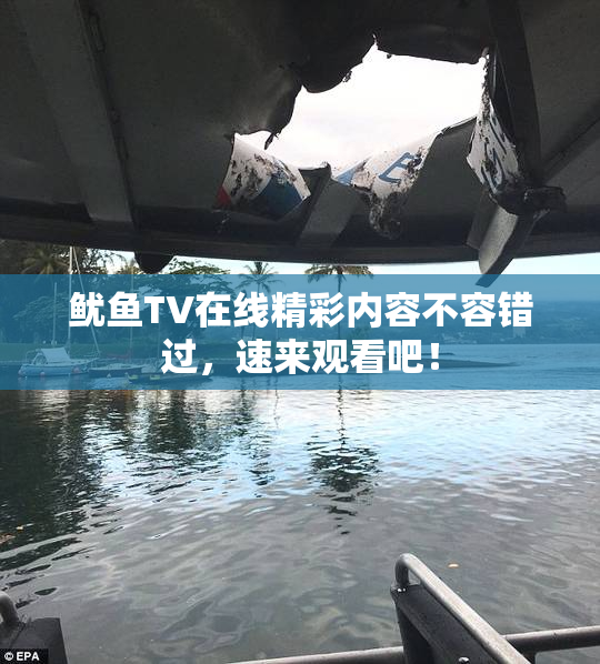 鱿鱼TV在线精彩内容不容错过，速来观看吧！