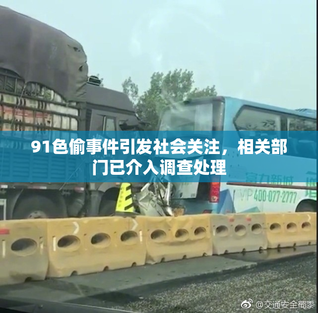 91色偷事件引发社会关注，相关部门已介入调查处理