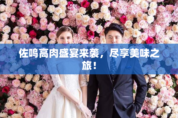 佐鸣高肉盛宴来袭，尽享美味之旅！