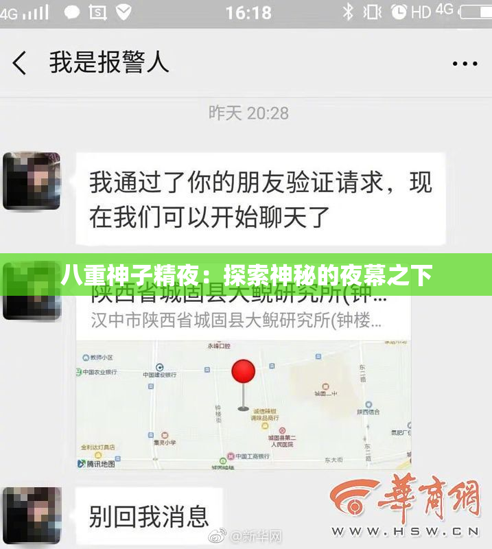 八重神子精夜：探索神秘的夜幕之下