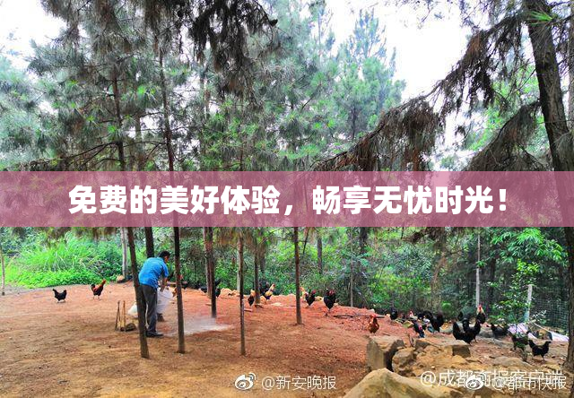 免费的美好体验，畅享无忧时光！