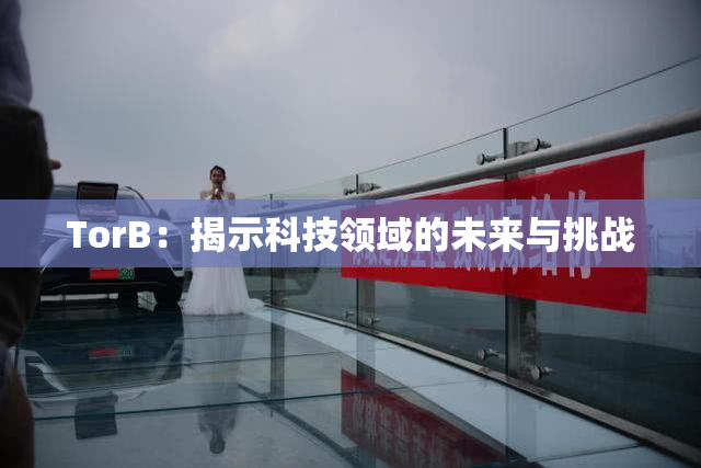 TorB：揭示科技领域的未来与挑战