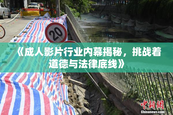 《成人影片行业内幕揭秘，挑战着道德与法律底线》