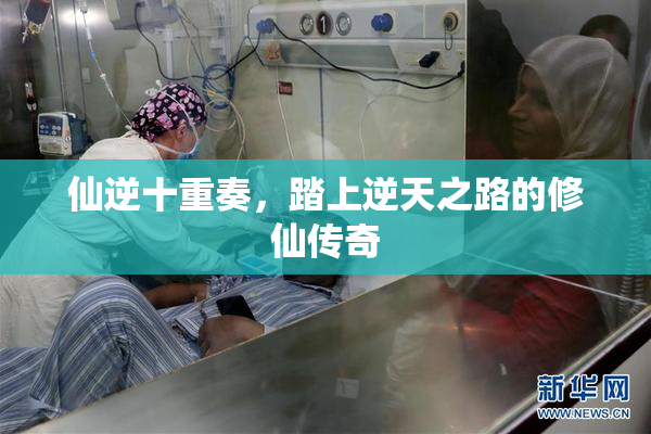 仙逆十重奏，踏上逆天之路的修仙传奇