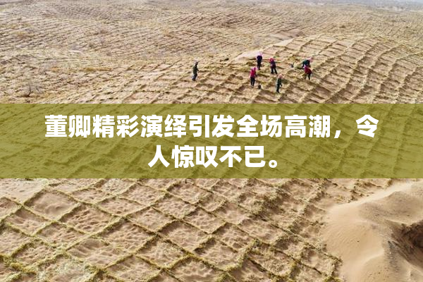 董卿精彩演绎引发全场高潮，令人惊叹不已。