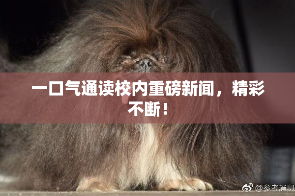 一口气通读校内重磅新闻，精彩不断！