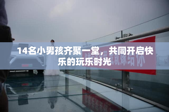14名小男孩齐聚一堂，共同开启快乐的玩乐时光