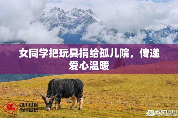 女同学把玩具捐给孤儿院，传递爱心温暖