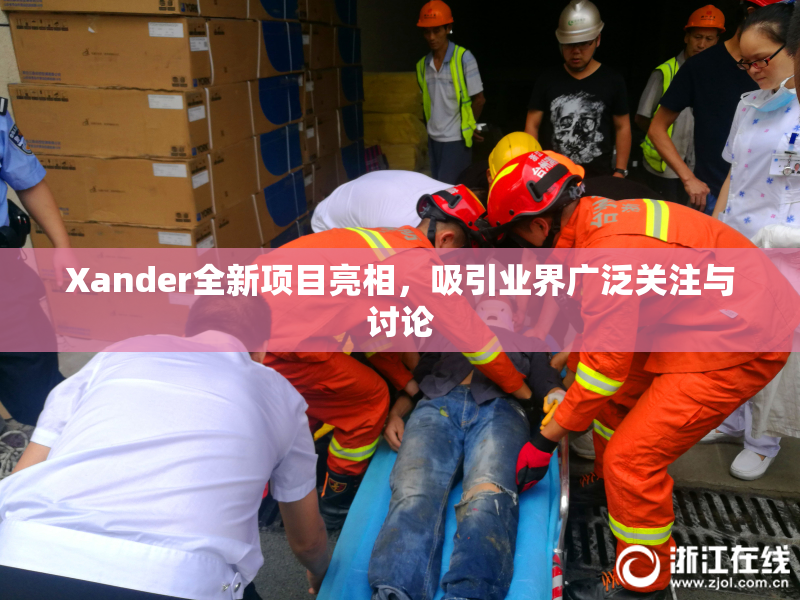 Xander全新项目亮相，吸引业界广泛关注与讨论
