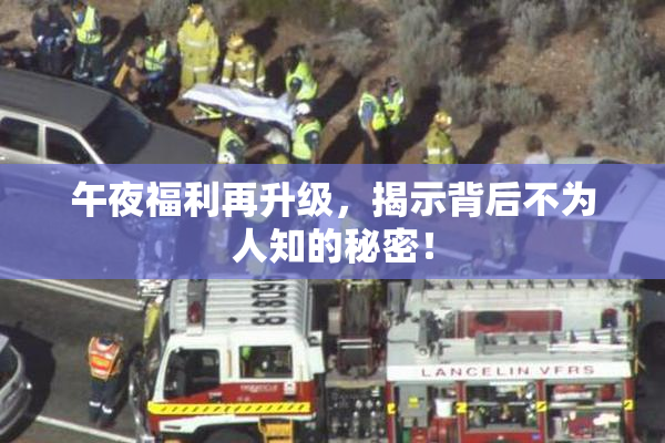 午夜福利再升级，揭示背后不为人知的秘密！