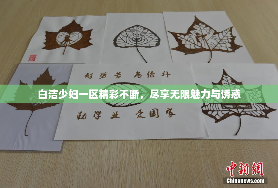 白洁少妇一区精彩不断，尽享无限魅力与诱惑