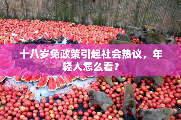 十八岁免政策引起社会热议，年轻人怎么看？