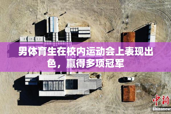 男体育生在校内运动会上表现出色，赢得多项冠军