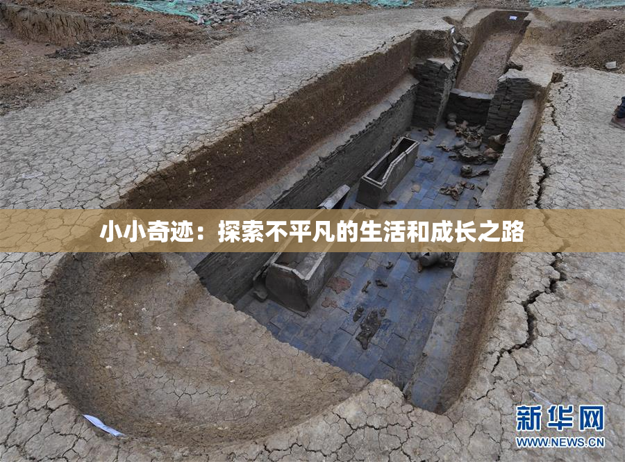 小小奇迹：探索不平凡的生活和成长之路