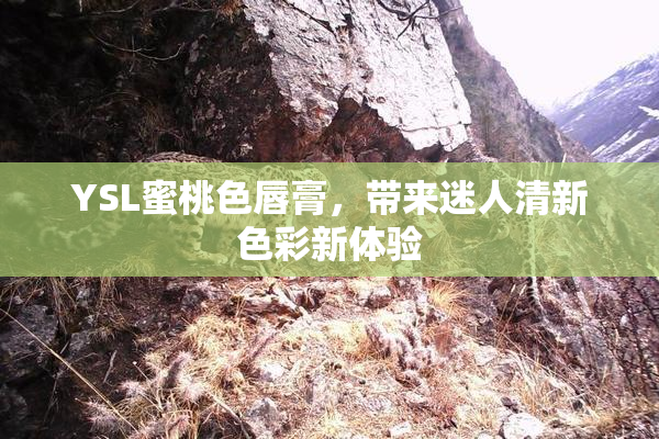 YSL蜜桃色唇膏，带来迷人清新色彩新体验