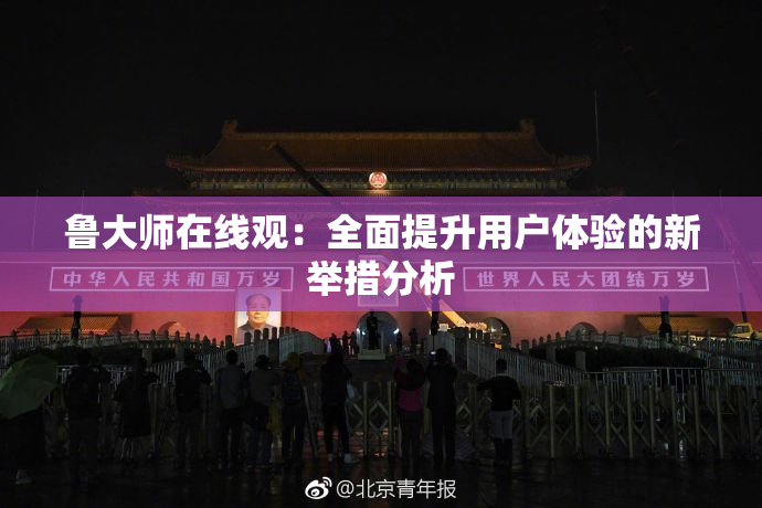 鲁大师在线观：全面提升用户体验的新举措分析