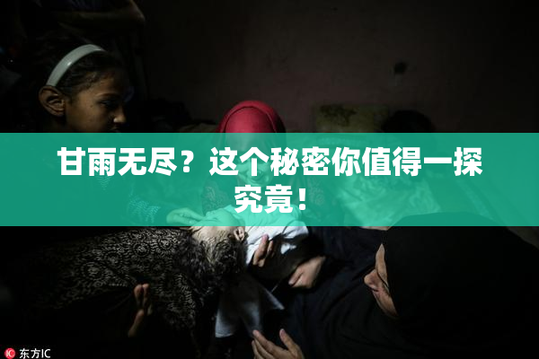 甘雨无尽？这个秘密你值得一探究竟！