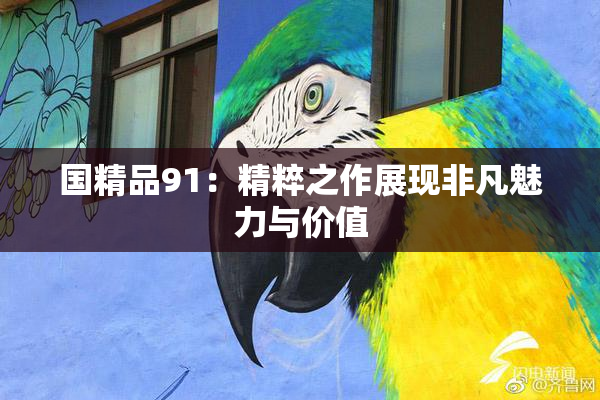 国精品91：精粹之作展现非凡魅力与价值