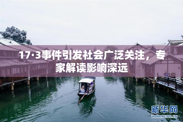 17·3事件引发社会广泛关注，专家解读影响深远