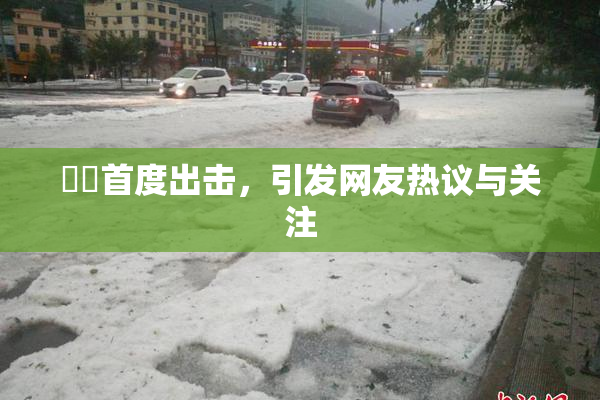 妺妺首度出击，引发网友热议与关注