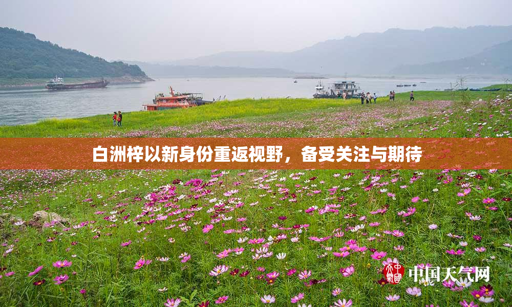 白洲梓以新身份重返视野，备受关注与期待