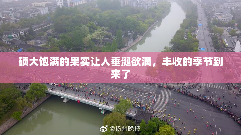 硕大饱满的果实让人垂涎欲滴，丰收的季节到来了