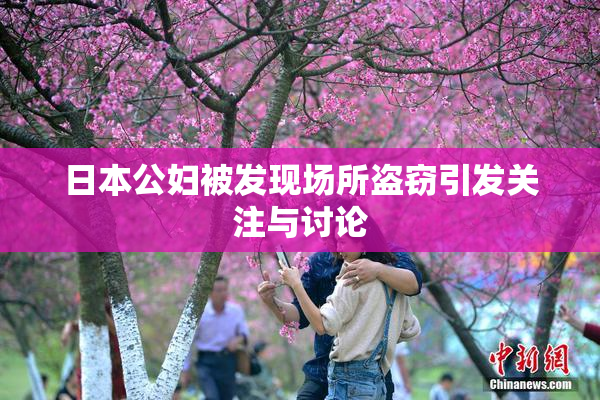 日本公妇被发现场所盗窃引发关注与讨论