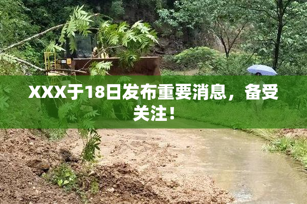 XXX于18日发布重要消息，备受关注！