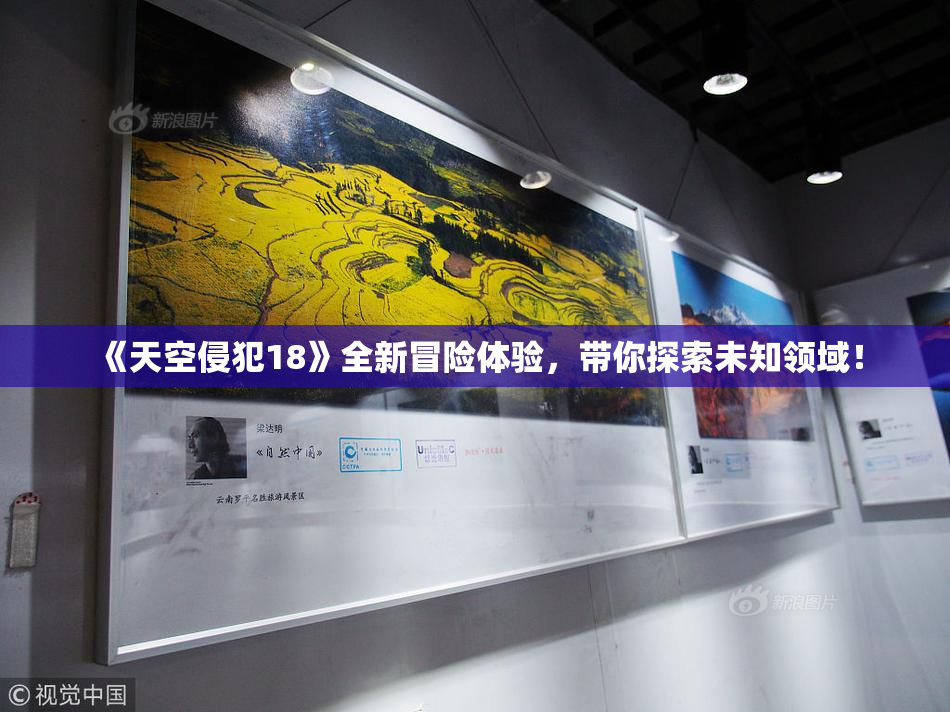 《天空侵犯18》全新冒险体验，带你探索未知领域！