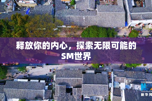 释放你的内心，探索无限可能的SM世界