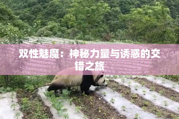 双性魅魔：神秘力量与诱惑的交错之旅