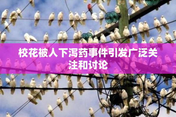 校花被人下泻药事件引发广泛关注和讨论