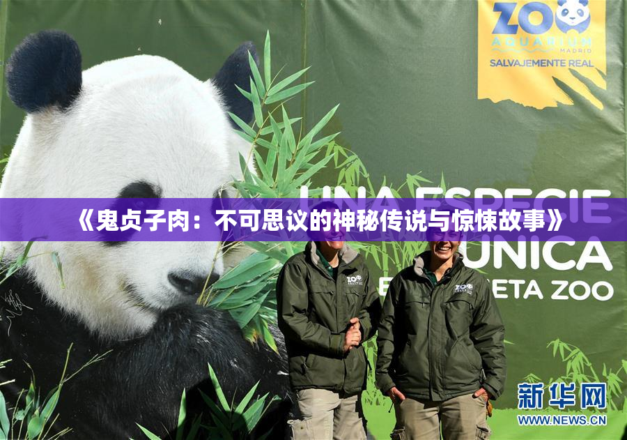 《鬼贞子肉：不可思议的神秘传说与惊悚故事》