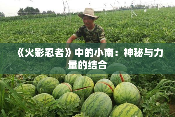 《火影忍者》中的小南：神秘与力量的结合