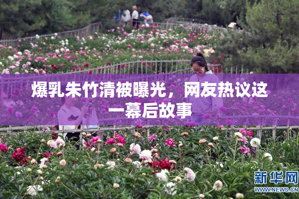 爆乳朱竹清被曝光，网友热议这一幕后故事