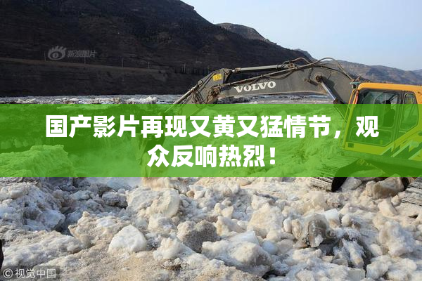 国产影片再现又黄又猛情节，观众反响热烈！