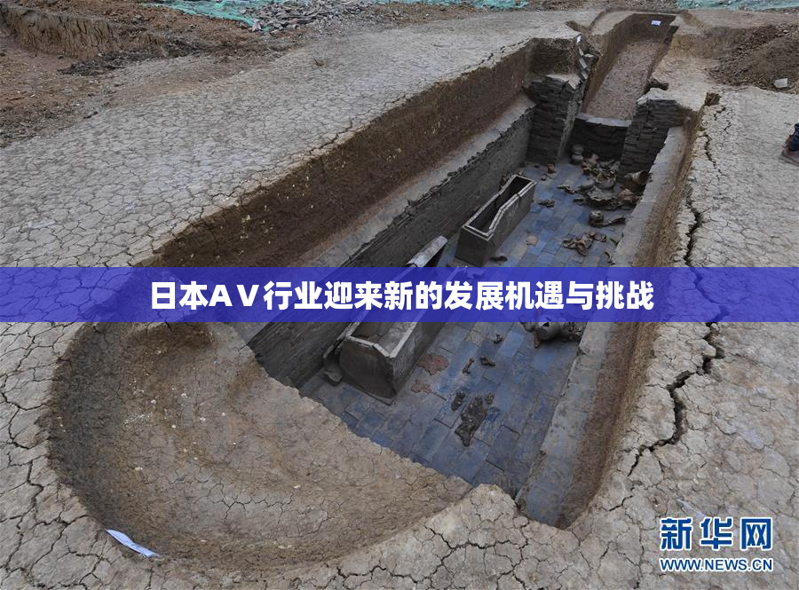 日本AⅤ行业迎来新的发展机遇与挑战