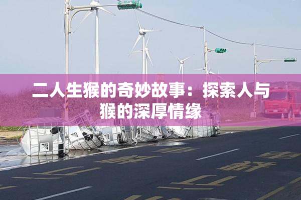 二人生猴的奇妙故事：探索人与猴的深厚情缘